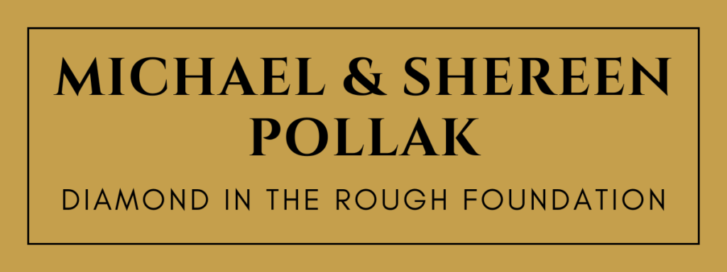 Michael & Shereen Pollack Diamond in the Rough Foundation